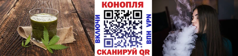 где найти   Шагонар  Cannafood марихуана 