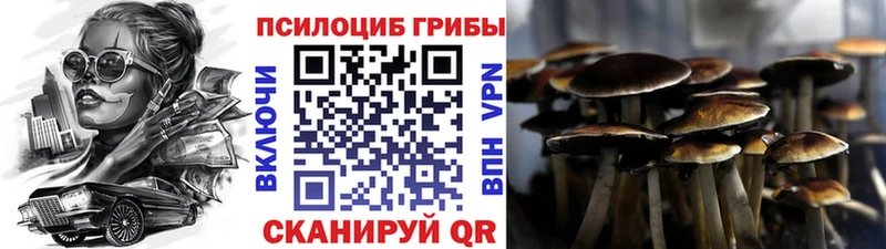 Галлюциногенные грибы мицелий Шагонар