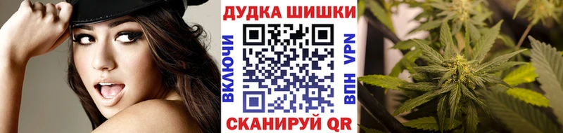 Бошки марихуана LSD WEED  где купить наркоту  Шагонар 
